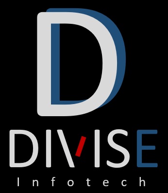 Divise Info Tech logo